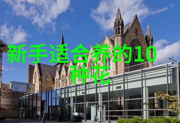 在种过花生的地下稻苗可以吗